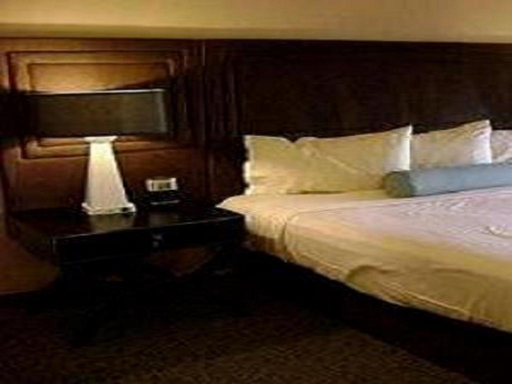 Hotel Sagar Castle Ratlām Habitación foto